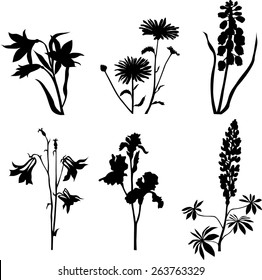 Plants collection
