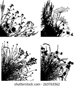 Plants collection