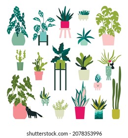 Plants compositions. Vector collection of home plants. Floral card vector illustration
