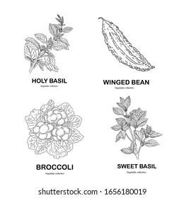 Plants concept design of vector. Doodle style. Set of plant.