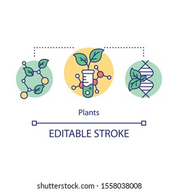 Plants concept icon. Artificial selection of signs. Breeding new varieties. Genetic engineering. Biotechnology idea thin line illustration. Vector isolated outline drawing. Editable stroke