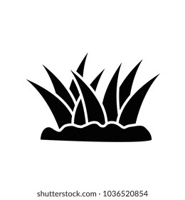 plants cultivated isolated icon