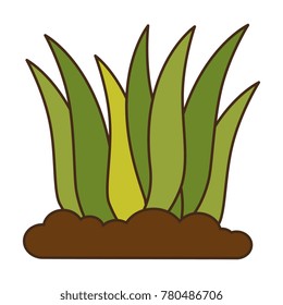 plants cultivated isolated icon