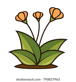 plants cultivated isolated icon