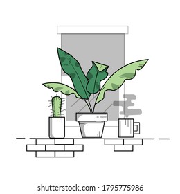 Plants and a cup of coffee in the window