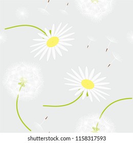 plants dandelion and Daisy vector pattern seamless gray background