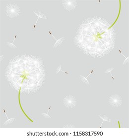plants dandelion vector pattern seamless gray background