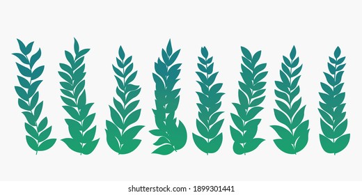 Plants for decoration of postcards and illustrations