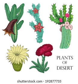 Plants of desert