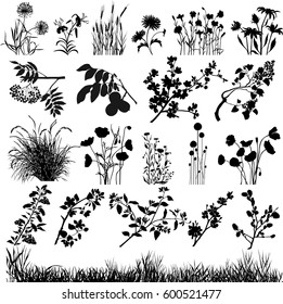 Plants design elements