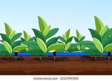 Plantas Sistema de Irrigação por Gotejamento Vetor, Plantas verdes, sistema de gotejamento, crescimento, Agricultura Fundo Vetor