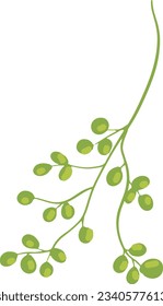 plants elements, tree elements, abstract, minimalist abstract icons