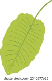 elementos de plantas, elementos de árbol, iconos abstractos, minimalistas abstractos