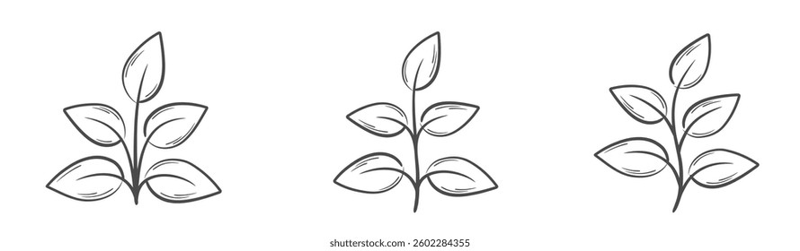 Plants with five leaves line illustrations. Nature, spring and planting design elements. Isolated vector images