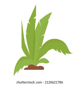 Plantas de estilo plano aisladas sobre fondo blanco