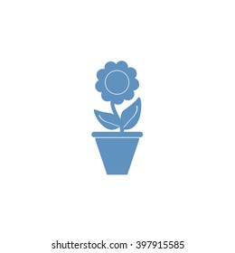 Plants in flower pot