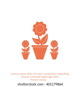 Plants in flower pot
