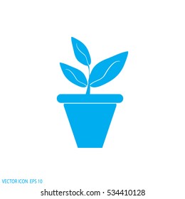 Plants in flower pot