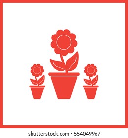 Plants in flower pot