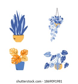 Plants in flower pot in trendy yellow and blue tints, flat cartoon vector illustration isolated on white background. houseplants cartoon icon or symbol set.