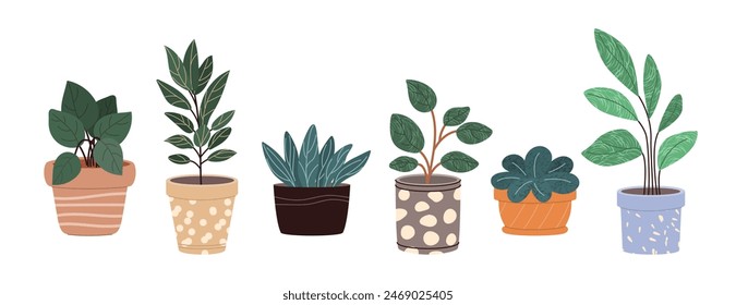 Plants in Flowerpots. Home Decor. A Collection of Various Houseplants. Hand-Drawn Vector Illustrations on White Background. Isolated and Ready for Use.