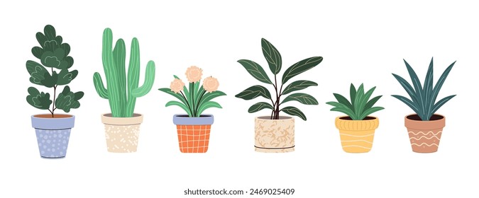 Plantas en Macetas. Decoración del hogar. Una Colección de varias plantas domésticas. Ilustraciones vectoriales dibujadas a mano sobre fondo blanco. Aislado y listo para usar.