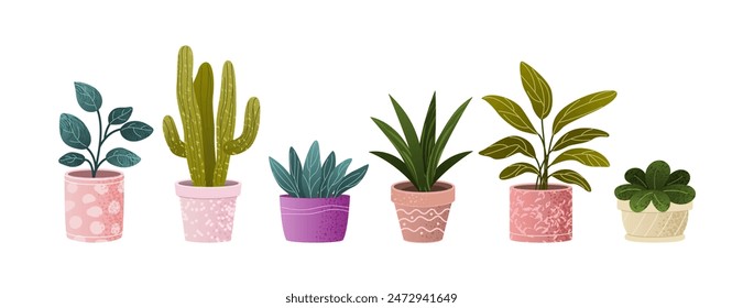 Plants in Flowerpots. Home Decor. A Collection of Various Houseplants. Hand-Drawn Vector Illustrations on White Background. Isolated and Ready for Use.