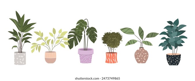 Plantas en Macetas. Decoración del hogar. Una Colección de varias plantas domésticas. Ilustraciones vectoriales dibujadas a mano sobre fondo blanco. Aislado y listo para usar.