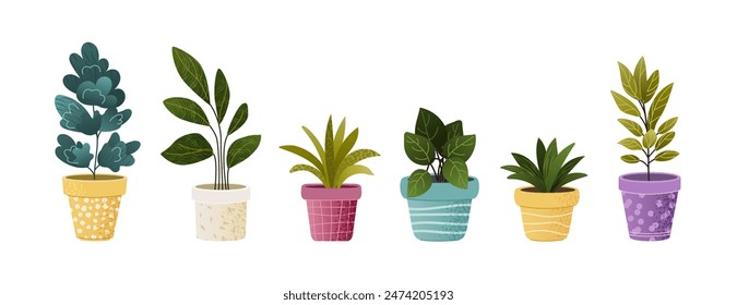 Plants in Flowerpots. Home Decor. A Collection of Various Houseplants. Hand-Drawn Vector Illustrations on White Background. Isolated and Ready for Use.