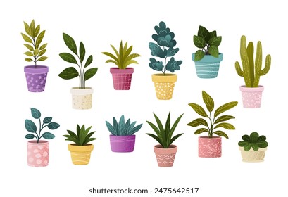 Plants in Flowerpots. Home Decor. A Collection of Various Houseplants. Hand-Drawn Vector Illustrations on White Background. Isolated and Ready for Use.