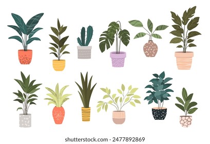 Plantas en Macetas. Decoración del hogar. Una Colección de varias plantas domésticas. Ilustraciones vectoriales dibujadas a mano sobre fondo blanco. Aislado y listo para usar.