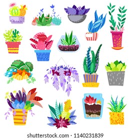 Plants in flowerpots vector potted colorful flowery houseplants for interior decoration with botanic collection floral cactuses in pots and color flowers illustration isolated on white background