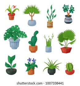 Plants in flowerpots vector potted flowery houseplants for interior decoration with botanic collection floral cactuses in pots and flowers in botanical garden illustration isolated on white background