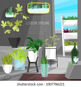 Plants in flowerpots vector potted houseplants indoor botanic cactuses aloe for house interior decoration with floral collection of botanical garden illustration isolated on white background