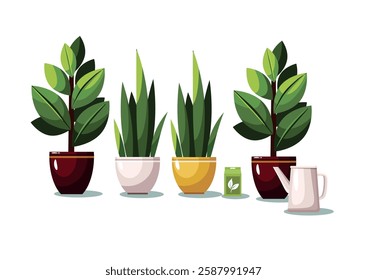 Plants in flowerpots and watering can. Home flowers on white background.