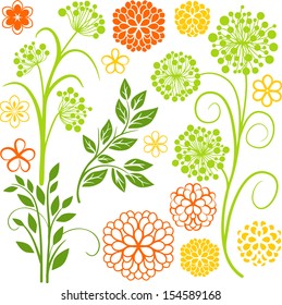 Plants and flowers
