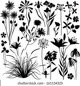 Plants and flowers