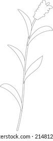 Plantas y flores de círculo vectorial negro y blanco