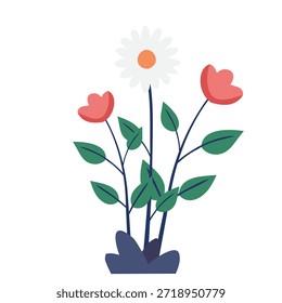 Plants with flowers. Blooming trio, vector illustration