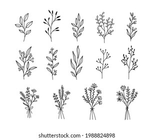 Plants and flowers, flowers bouquet, set of linear rustic illustrations