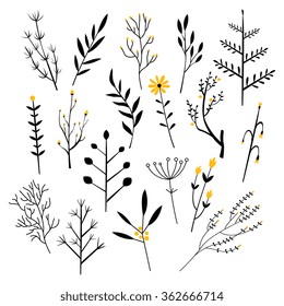 Plants, Flowers and Branches. Vector Illustration Collection