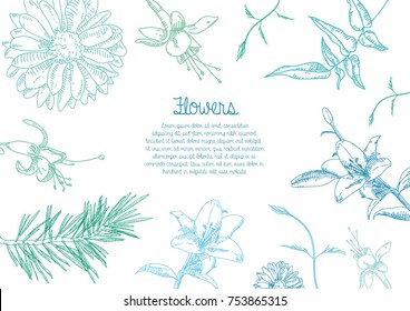 Plants Flowers Card
