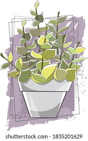 Plantas y flores para la composición y el arte.