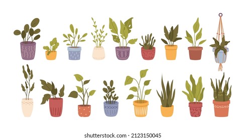 Plants and flowers with foliage, isolated set of botany different. Vector leafage and growing houseplants in vases and pots. Summer and spring greenery, florist shop or store. Flat cartoons