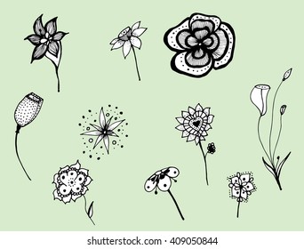 Plants. Flowers. Grass. Set. Line art. Silhouette. Graphic arts. Drawing by hand. Dudling. Black and white. Sheets. Dry grass. Wild plants.