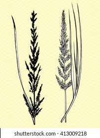 Plants. Flowers. Grass. Set. Line art. Silhouette. Graphic arts. Drawing by hand. Dudling. Black and white. Sheets. Dry grass. Wild plants.