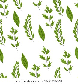 Plants flowers leaves vector seamless pattern on white background for design and print.