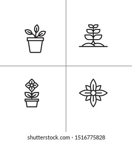 Plants and flowers lineal icon set