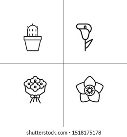 Plants and flowers lineal icon set