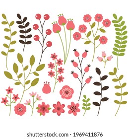 Plants and flowers on a white background. Vector illustration 
